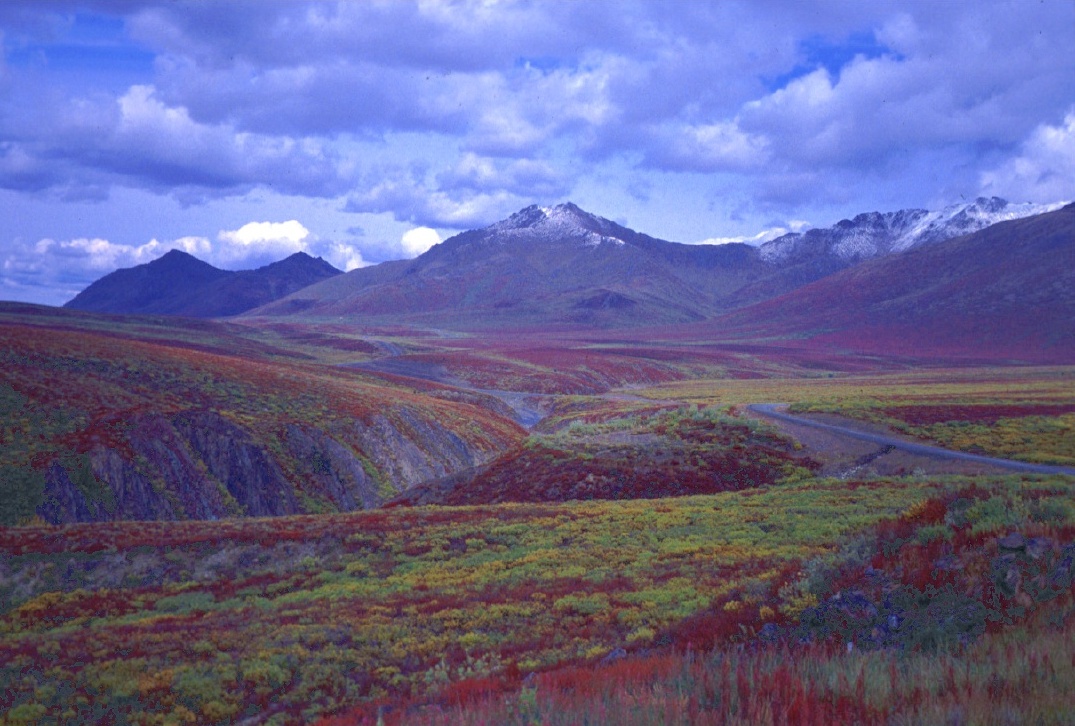 The Dempster Highway