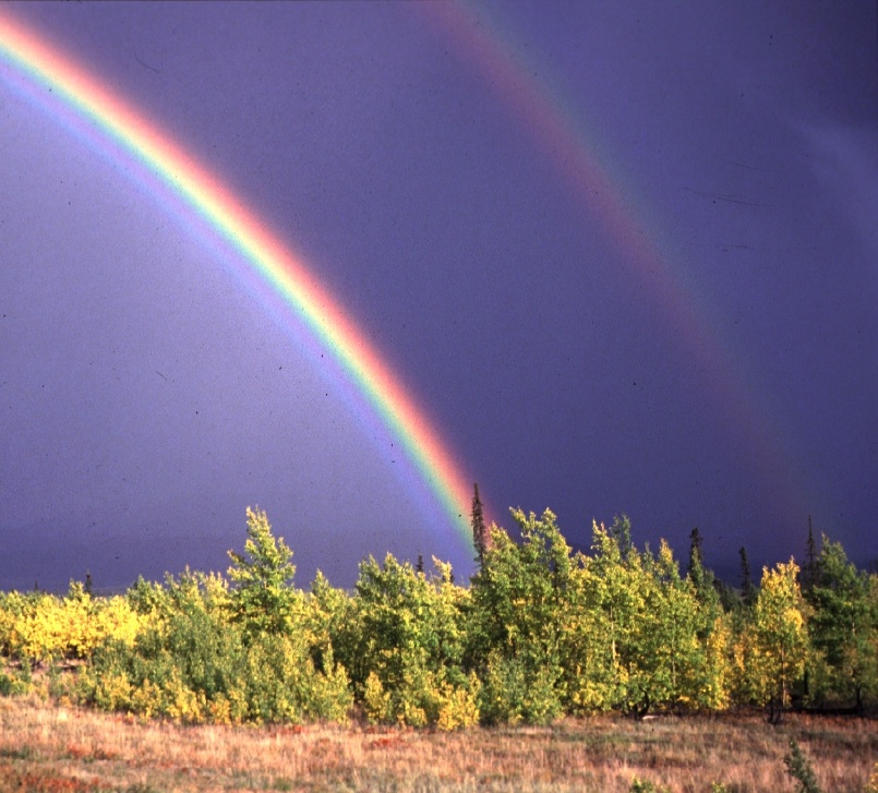 A Double Rainbow